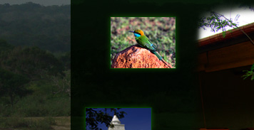 Kataragama Hotels