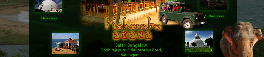 Situlpahuwa Hotels