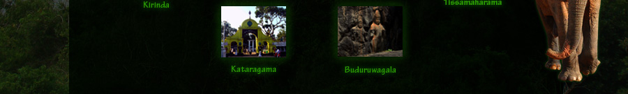 Kataragama Safari