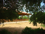 safari hotels